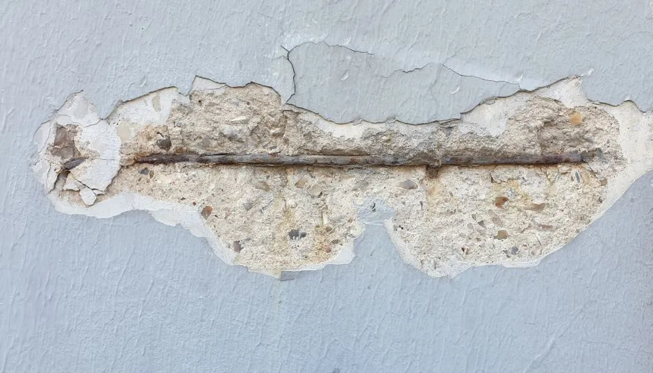 4. Keeping Old Books, Magazines, And Photos In Damp Corners (Image Credits: Pexels)