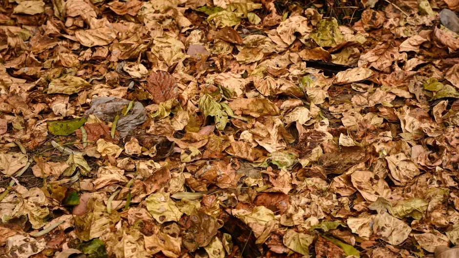 Dead Leaves and Debris Are Piling Up in the Pot (Image Credits: Pexels)
