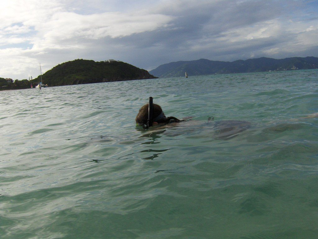 Virgin Islands National Park - Tropical Marine Life Paradise (Image Credits: Flickr)
