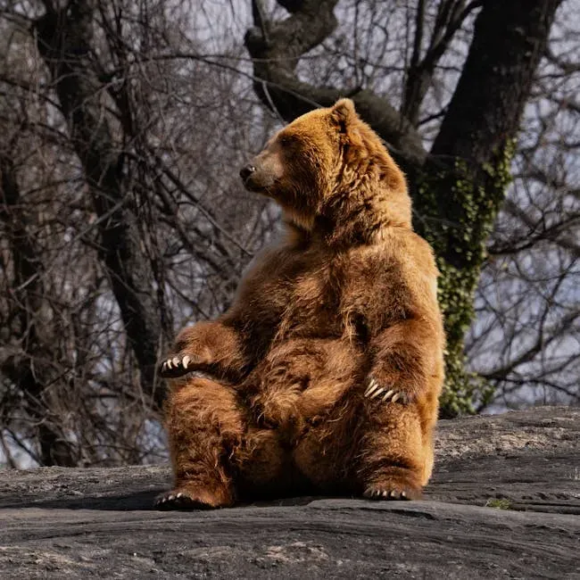 Introspection, Solitude, and Inner Wisdom (Image Credits: Pexels)