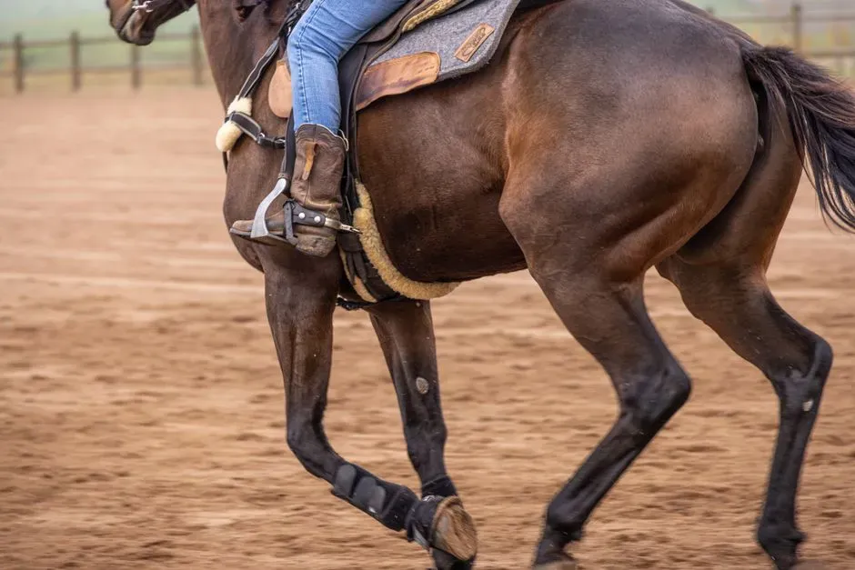 #14 - "Heels Down" Without Teaching Why (Image Credits: Pexels)