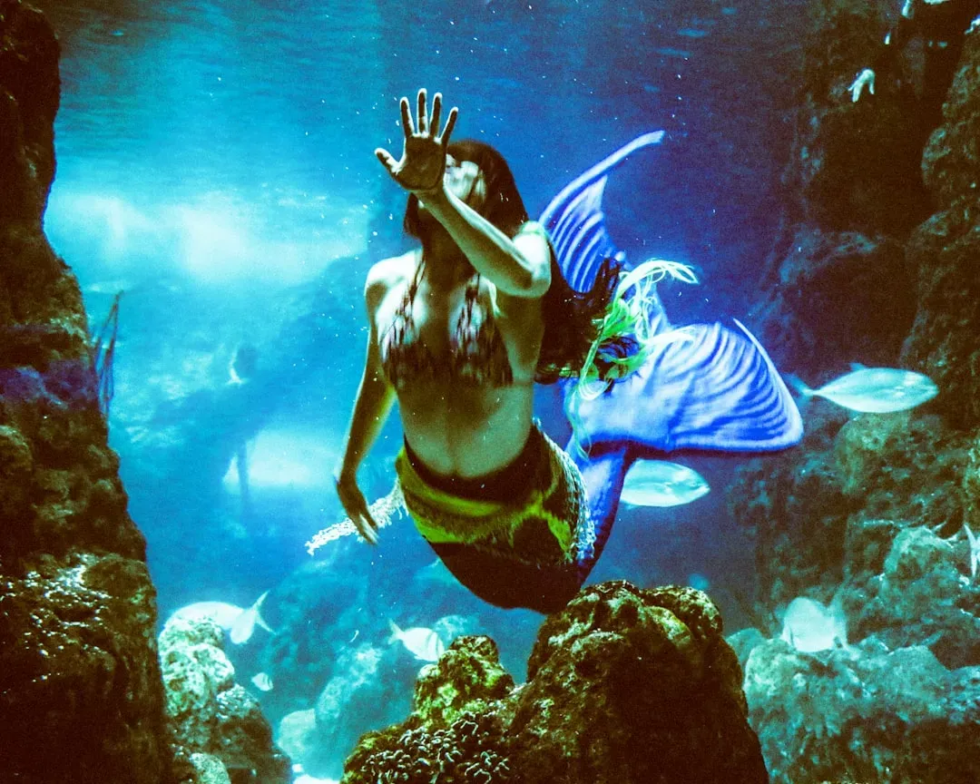 Pisces: The Dreamy Mermaid (Image Credits: Unsplash)