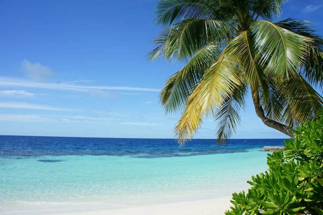 Hawaii: The Island Paradise That Lives Up to Its Name (Image Credits: Unsplash)