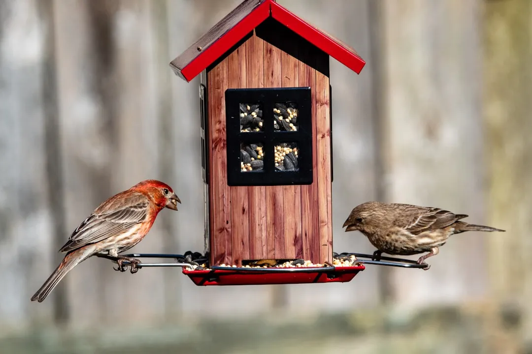#18 - Commit for a Year: Birds Reward Consistency, Not Weekend Projects (Image Credits: Unsplash)