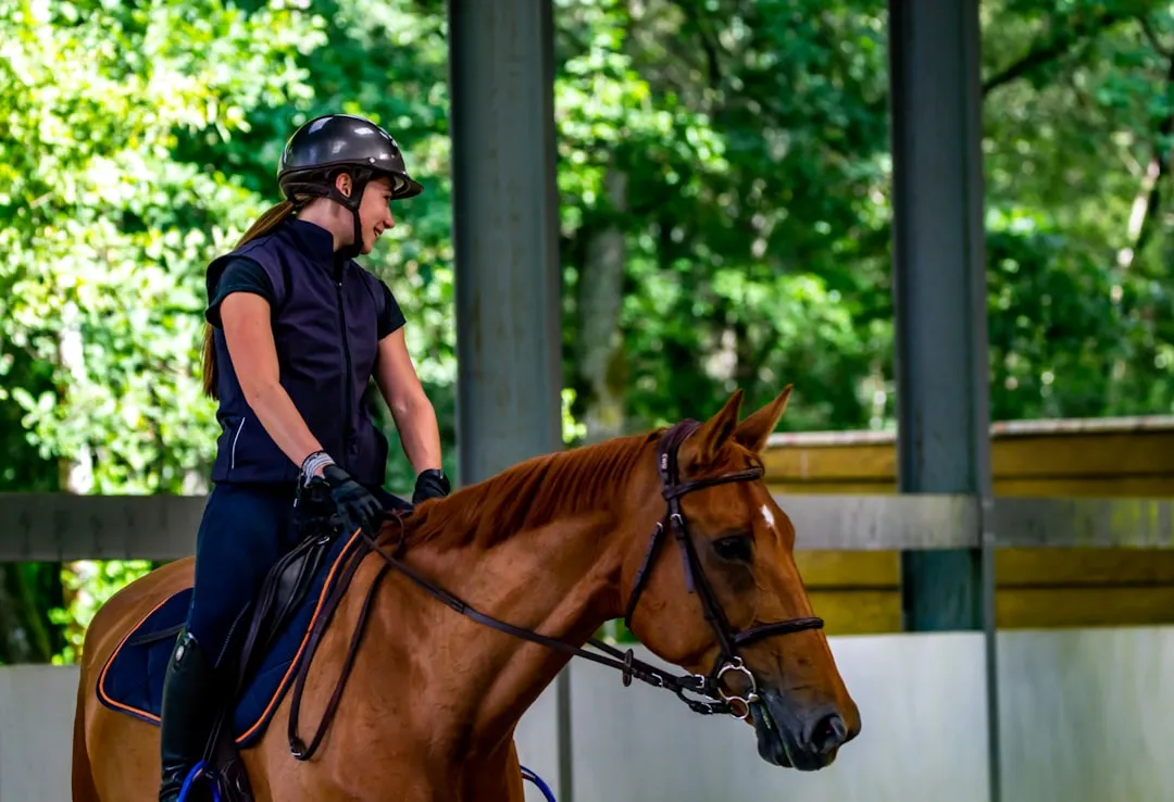 #8 - Young Stallions (Any Breed) (Image Credits: Unsplash)