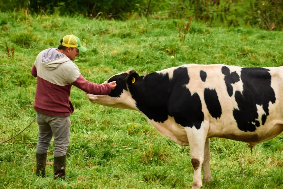 Animal Altruism and Self-Sacrifice (Image Credits: Unsplash)