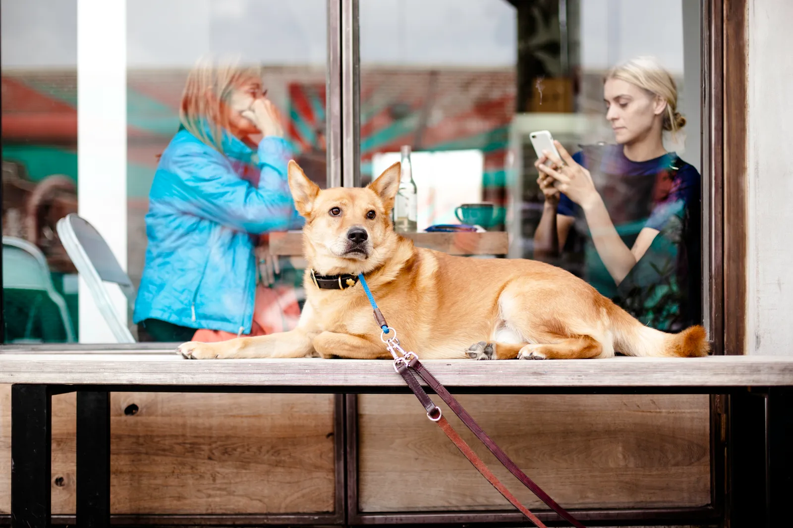 12 - Rusty's Second Chance (By Ross Sokolovski ross_sokolovski, CC0)
