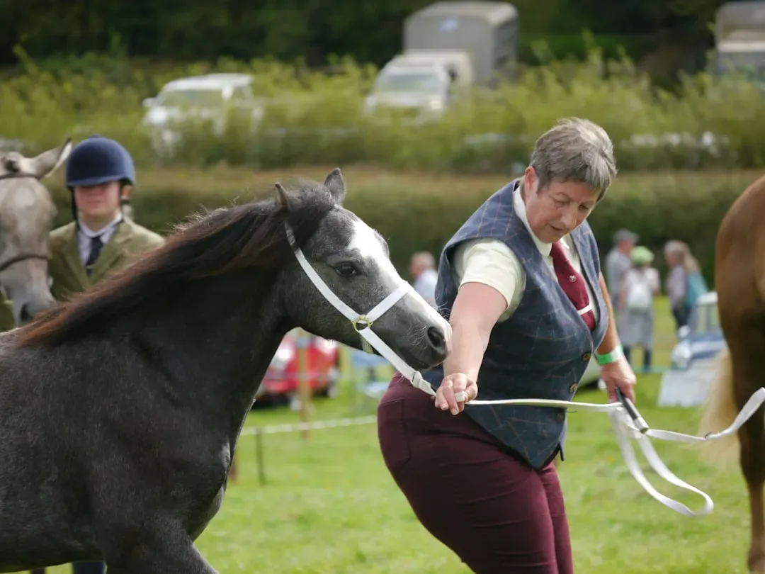 Best Types of Exercise for Senior Horses (Image Credits: Unsplash)