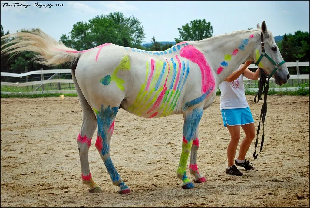 Horses Physically Cannot Vomit (Image Credits: Flickr)