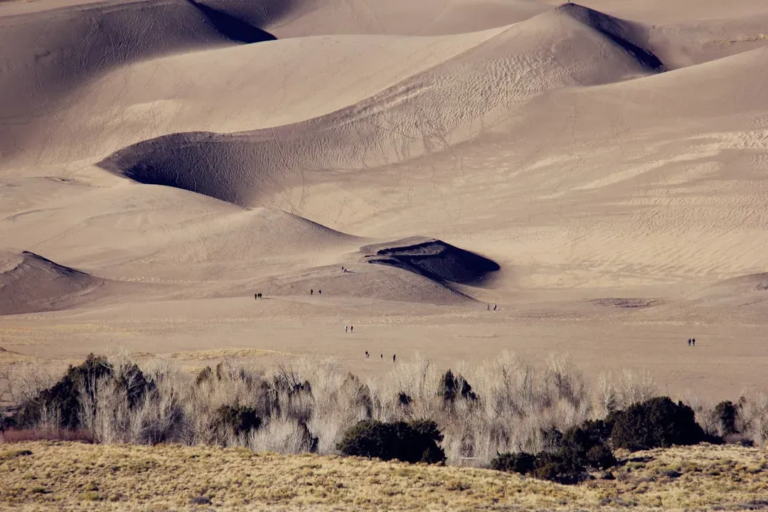 Great Sand Dunes National Park, Colorado (Image Credits: Unsplash)