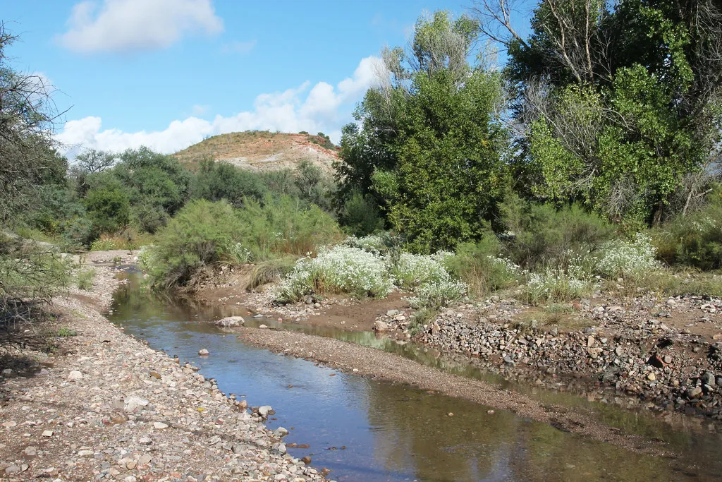 Patagonia and the Sonoita Creek Corridor: Riparian Lifelines in the Desert (Image Credits: Flickr)