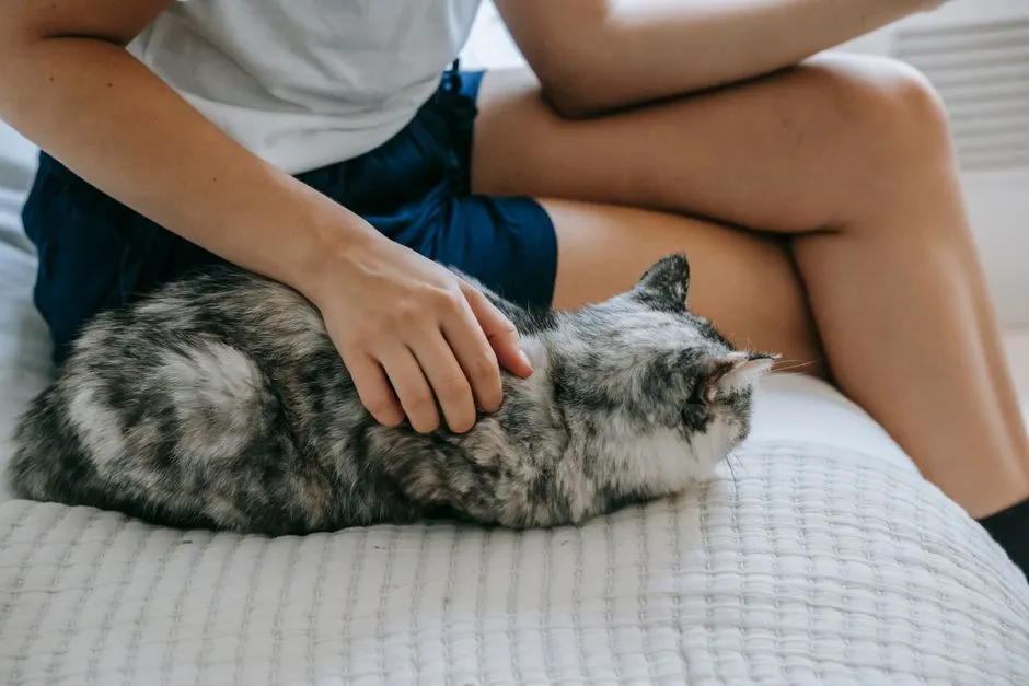 7. Changes In Their Own Routine When Yours Falls Apart (Image Credits: Pexels)