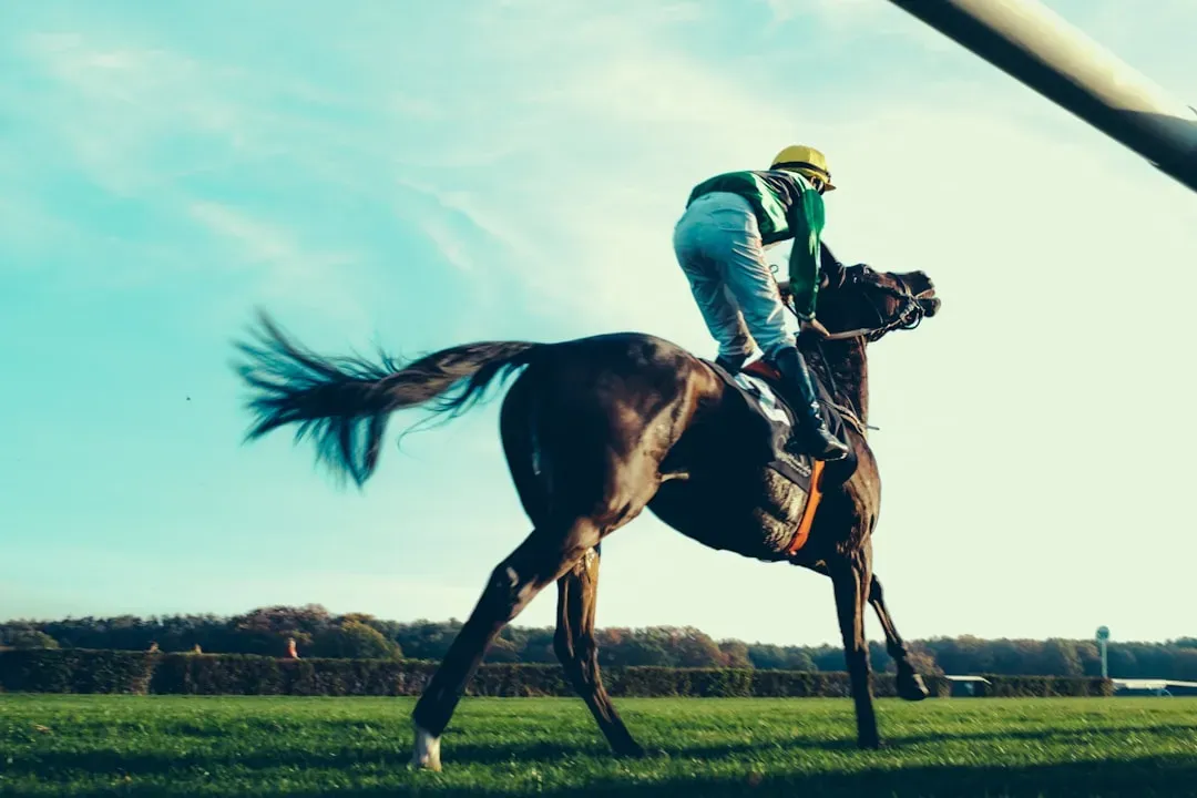 #2 - The Thoroughbred: Speed Built on a Foundation of Fragility (Image Credits: Unsplash)