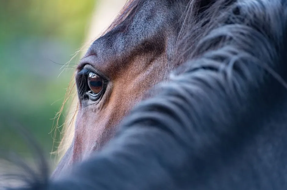 13. Eyes That Stay Bright, Not Empty (Image Credits: Pexels)