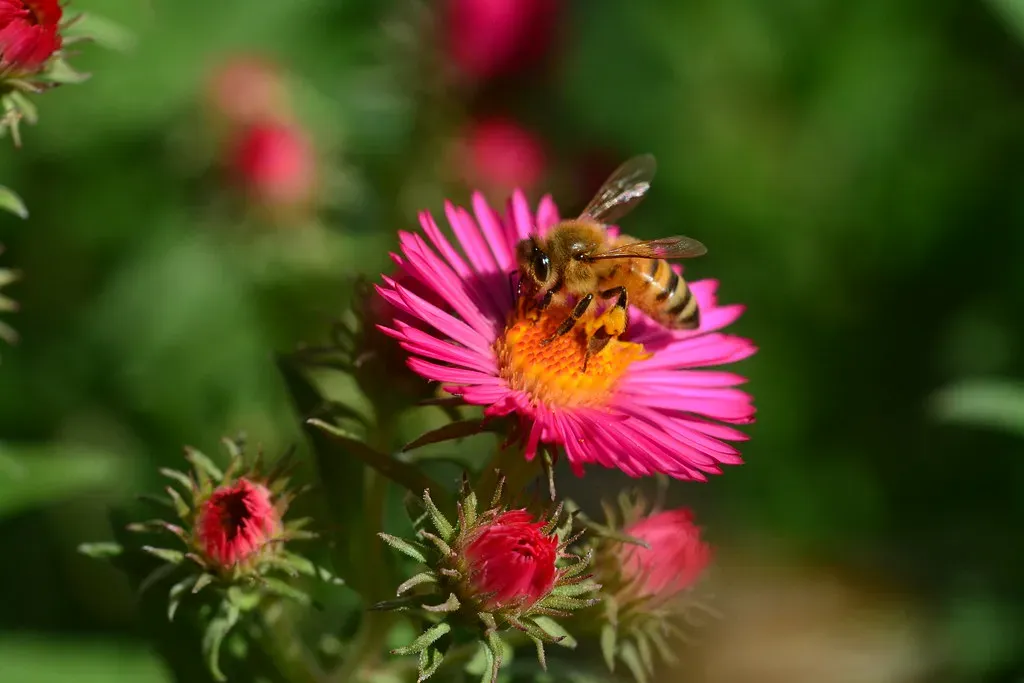 What Can Actually Be Done (Image Credits: Flickr)