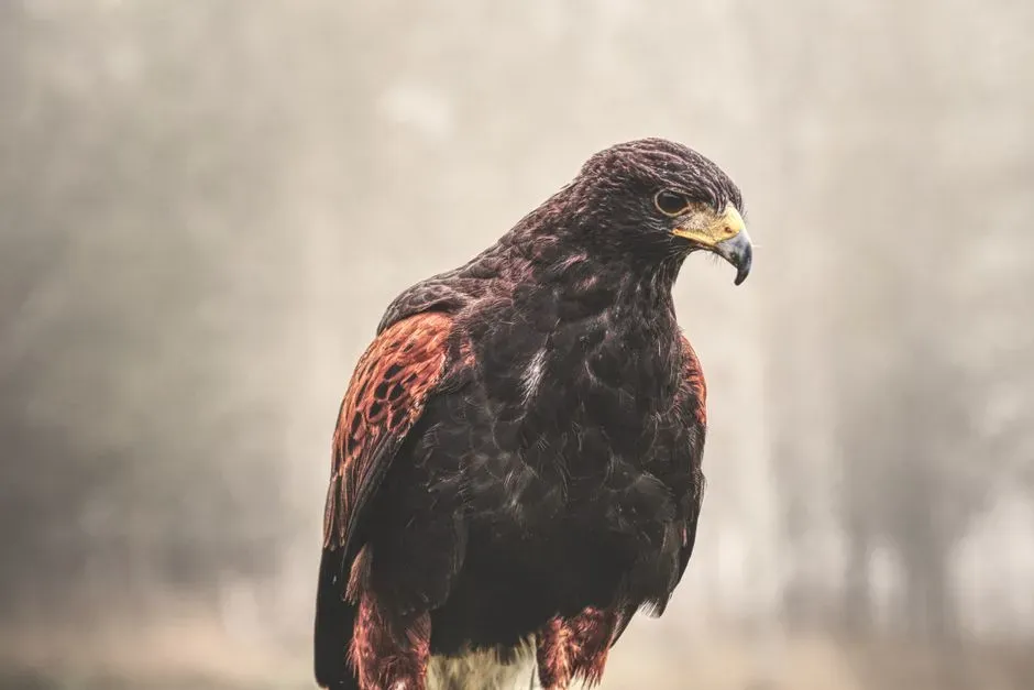 Cultural Interpretations Through History (Image Credits: Pexels)