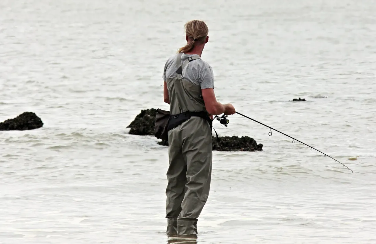 Fishermen Sometimes Kill Them Out of Fear or Ignorance (Image Credits: Pixabay)