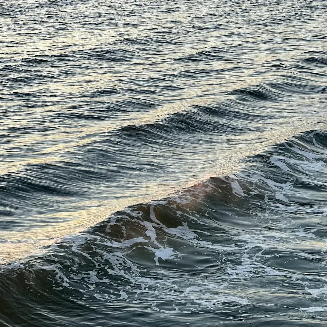 What Science Says About P-Waves and S-Waves (Image Credits: Unsplash)