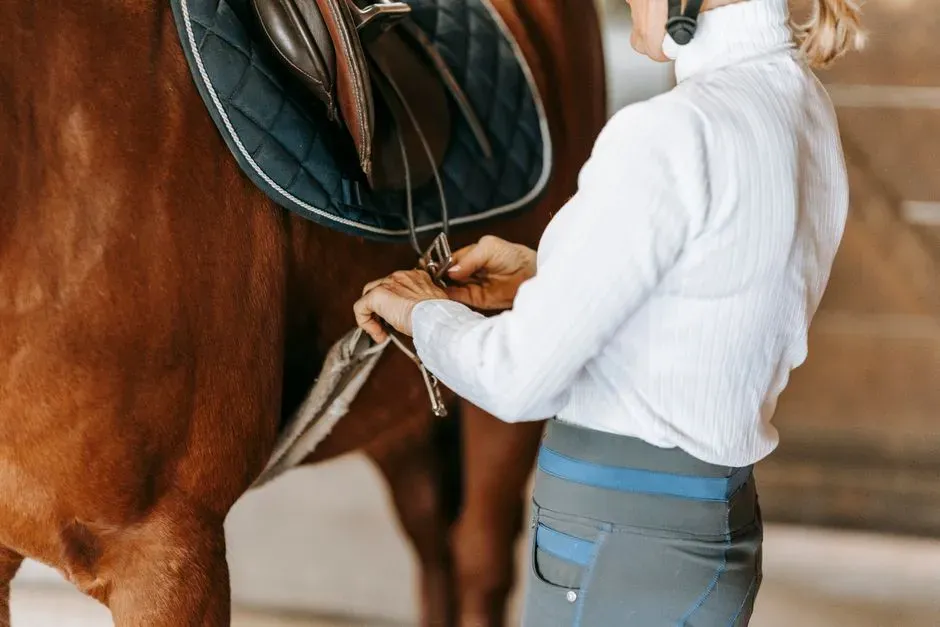 #7 Girthiness Gets Labeled Attitude When Its  Practically a Medical Chart (Image Credits: Pexels)