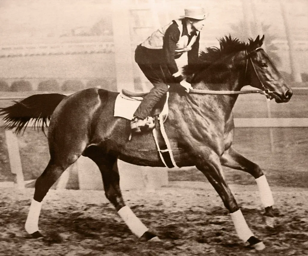 Seabiscuit: The Little Horse That Lifted a Nation (Image Credits: Wikimedia)