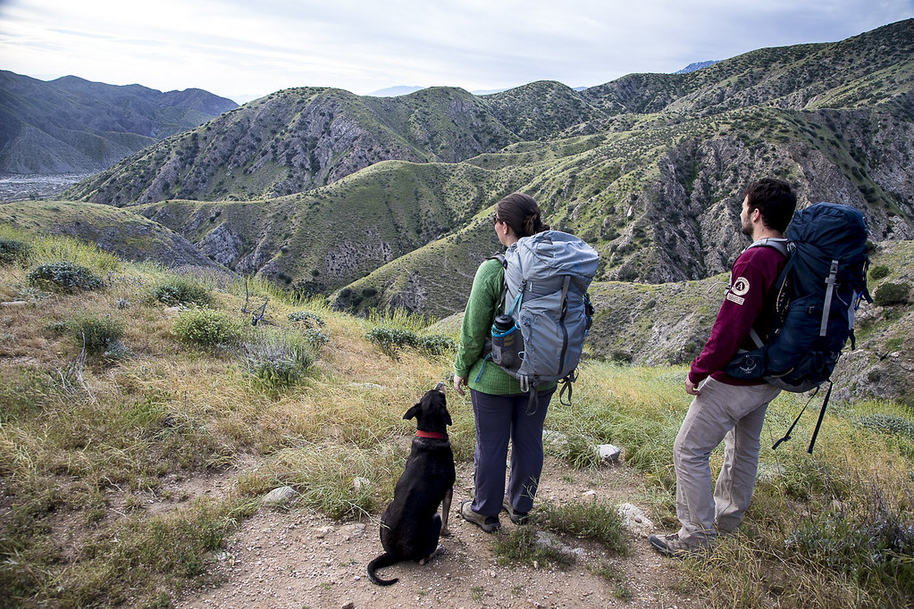 Pacific Crest Trail, Washington and Northern California (Image Credits: Flickr)