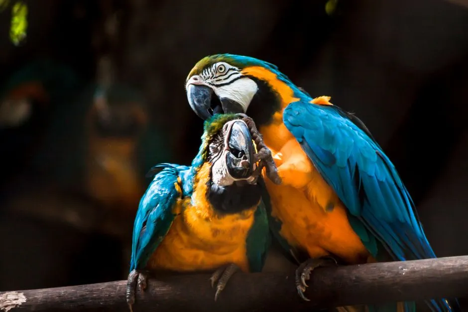 Conclusion: Practicing in the Dark and What It Says About Us (Image Credits: Pexels)