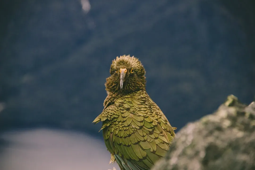 Why the Long Wait Between Breeding Seasons (Image Credits: Unsplash)