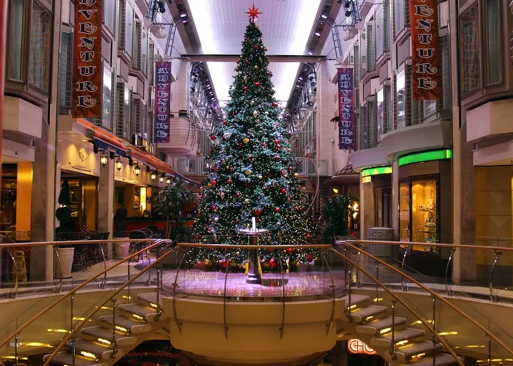 Different Trees, Same Tradition Worldwide (Image Credits: Flickr)