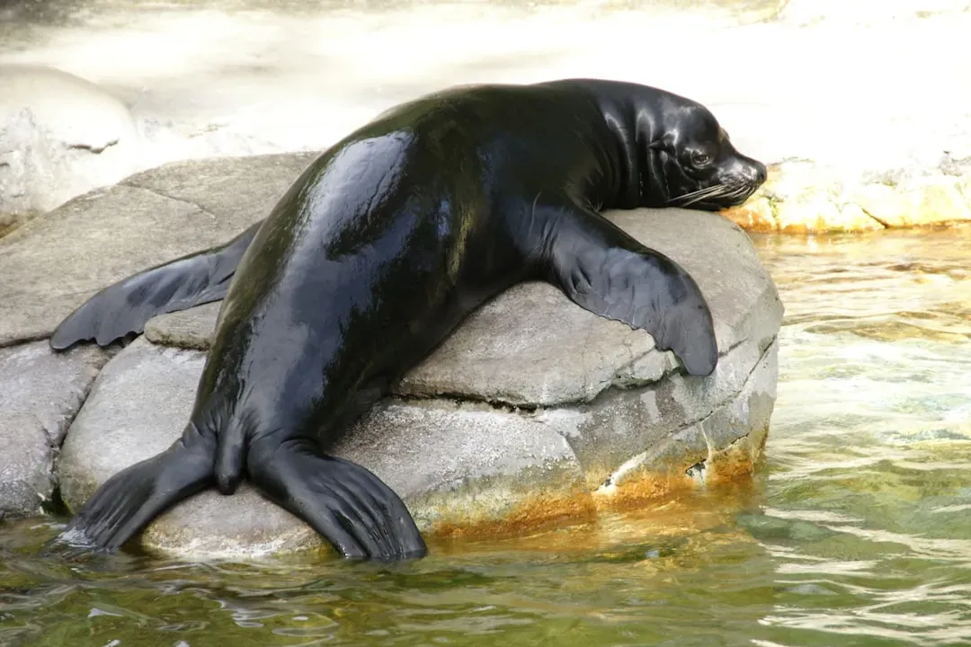 1. Thick Layers of Blubber (Image Credits: Unsplash)