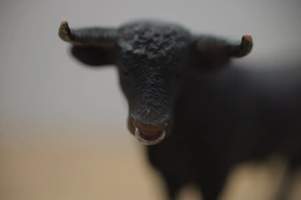 Understanding Your Wild Shadow (Image Credits: Flickr)