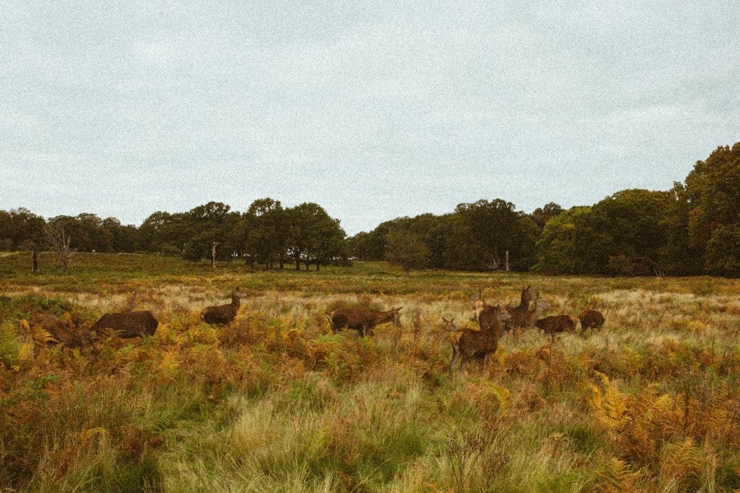 Rocky Mountain Arsenal National Wildlife Refuge - Colorado's Urban Oasis (Image Credits: Unsplash)