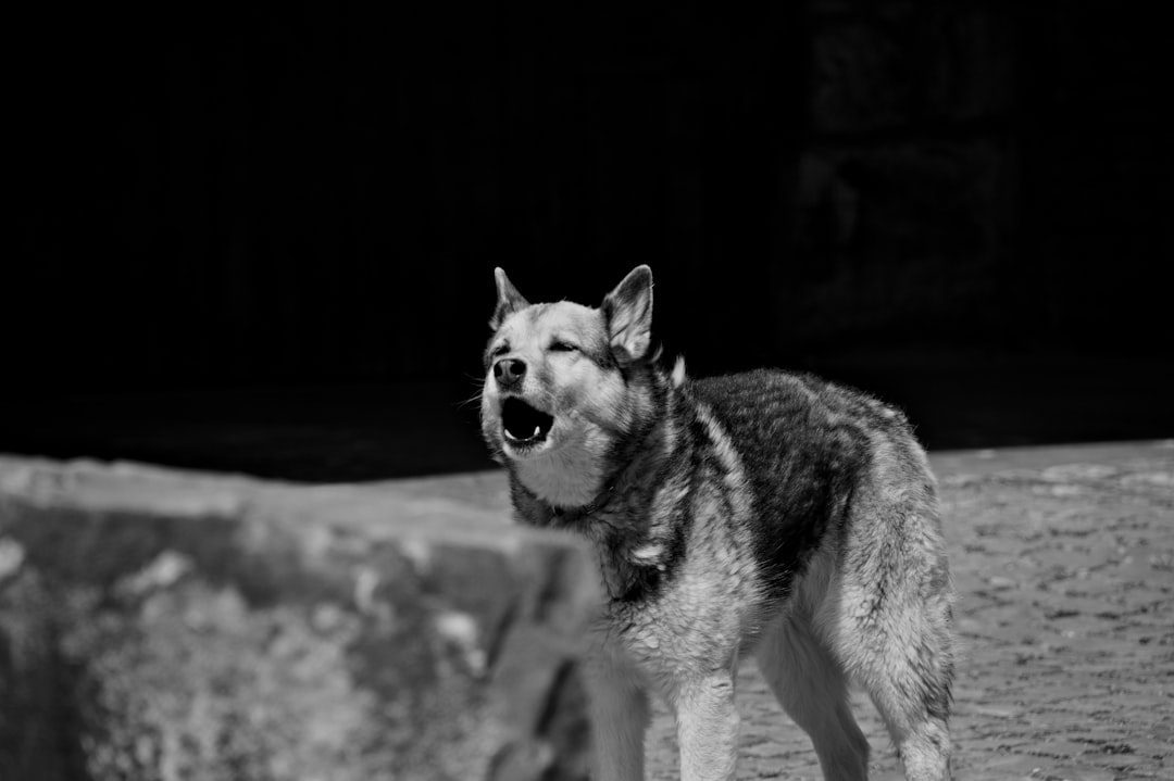 Breed-Specific Tendencies (Image Credits: Unsplash)