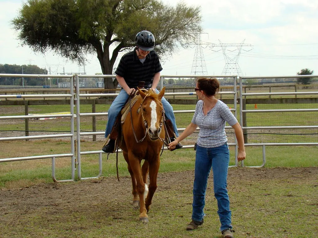#2 - The Freshly "Turned Into" Lesson Horse (ChristineLeiser, Flickr, CC BY 2.0)