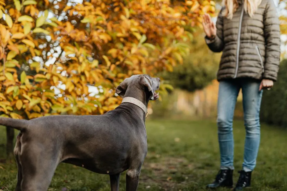 1. Refusing to Come When Called (Image Credits: Pexels)