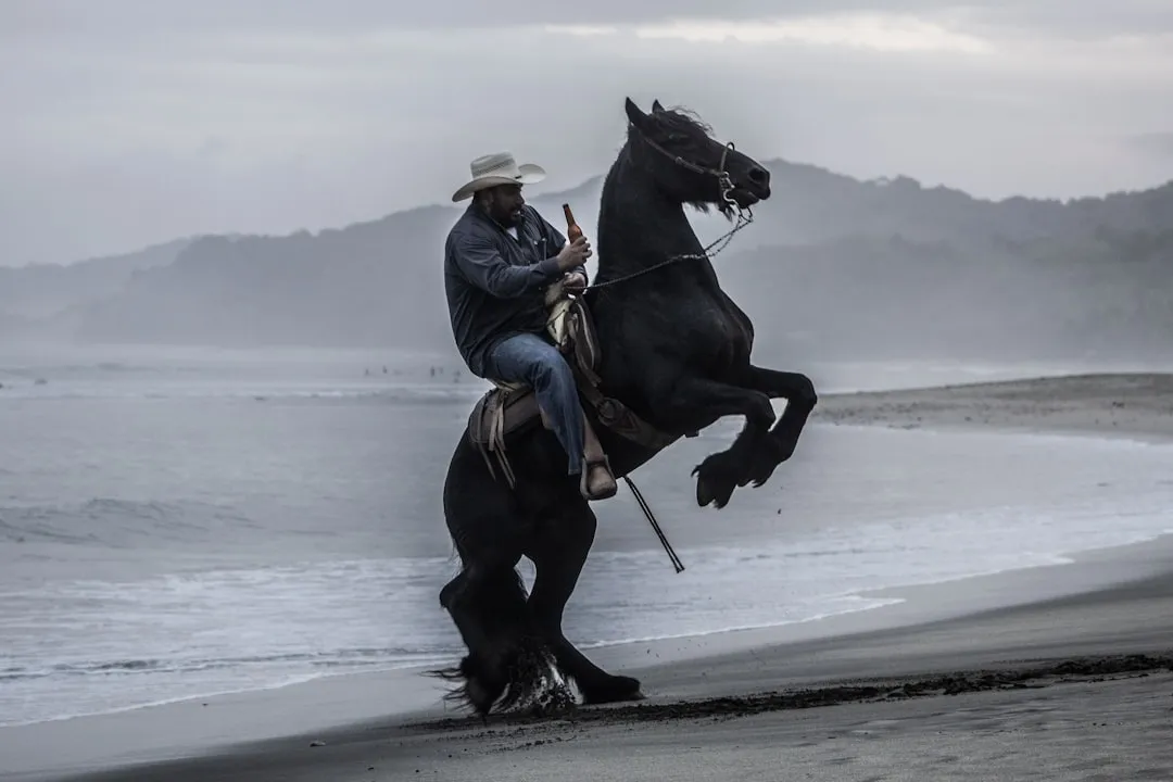 #5 - Friesian (Image Credits: Unsplash)