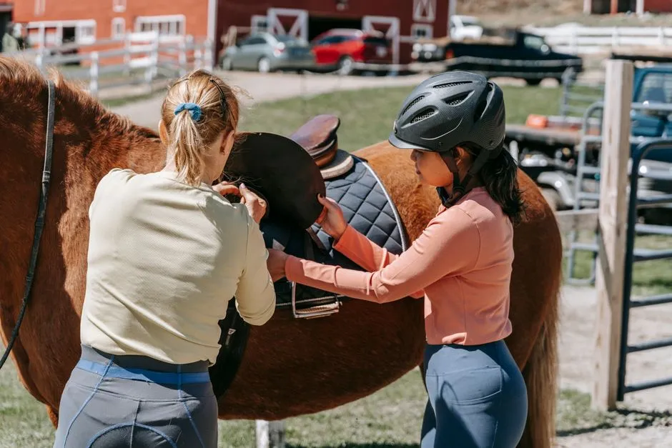 #17 - Treating Saddle Fit as an Afterthought (Image Credits: Pexels)