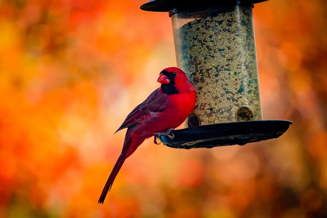 Autumn: Preparing for the Lean Months (Image Credits: Unsplash)