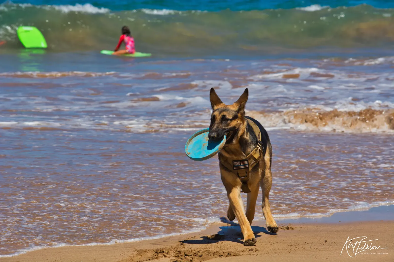 Neglecting Mental Stimulation and Routine (Don't let my paws get wet (#338 explore 06/25/20), CC BY-SA 2.0)