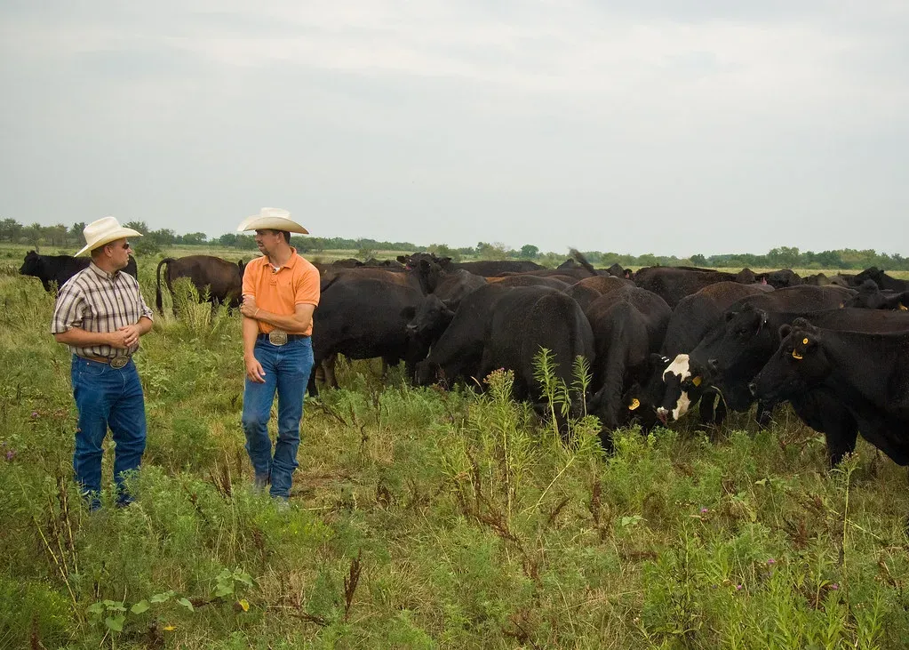 13. Grassland Ecosystems Bounce Back from Overgrazing (Image Credits: Flickr)