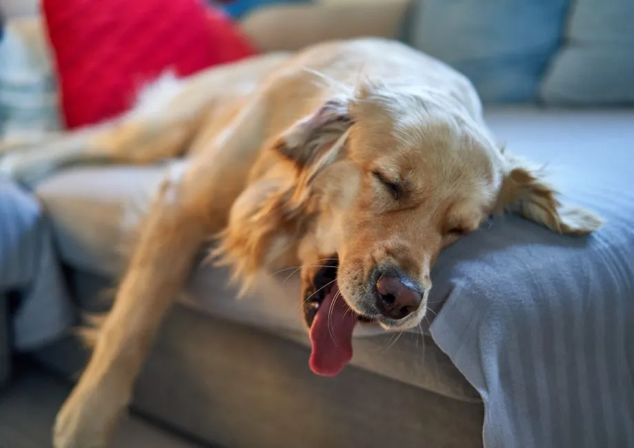 #11 - A Deep Exhaustion That Sleep Never Fixes (Image Credits: Pexels)