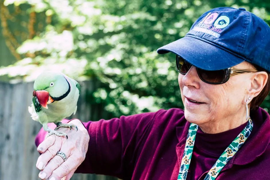 10. Commitment to Lifelong Care (Image Credits: Pexels)