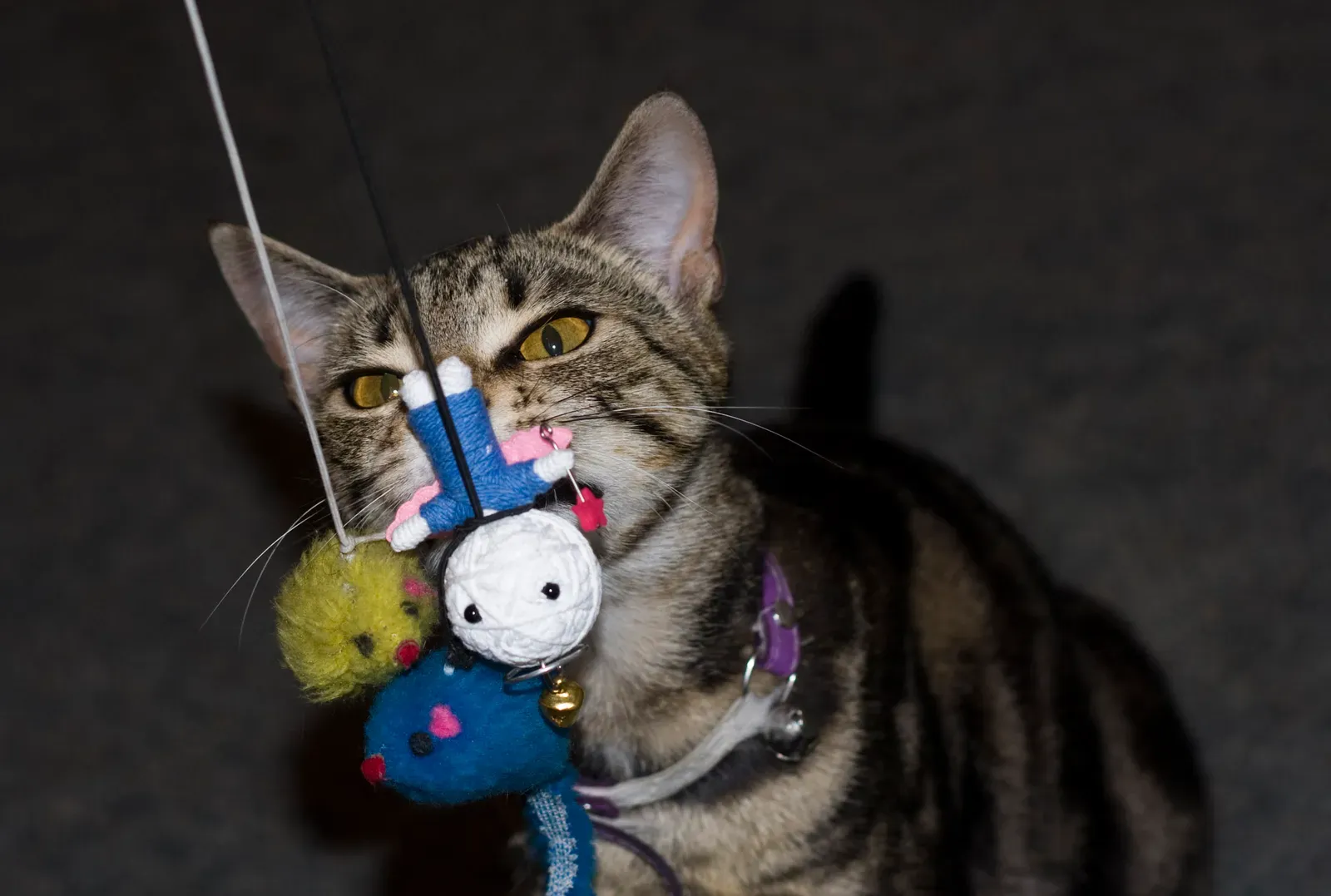 The Way You Played With Them (Image Credits: Wikimedia)