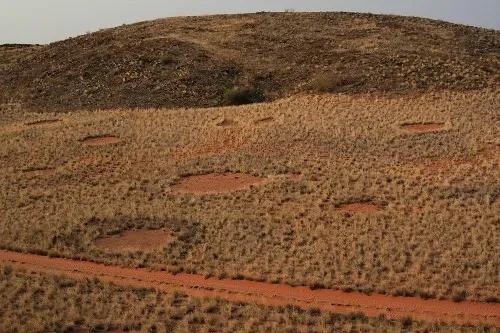The Fairy Circles of Namibia: Polka Dots on a Desert (Namibnat, Flickr, CC BY 2.0)