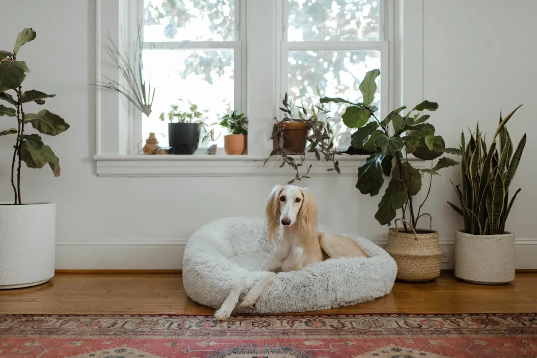 1. Turning a Smaller Space Into a Cozier Den (Image Credits: Unsplash)