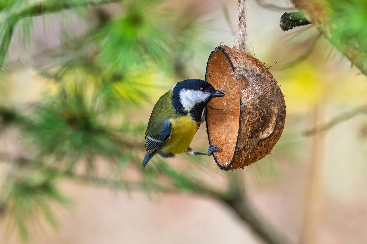 9. Adjust Feeding Stations to Reduce Stress and Competition (Image Credits: Pixabay)