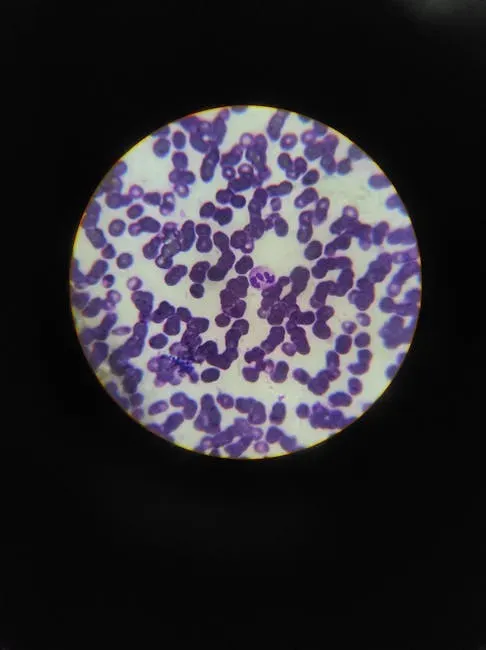 7. Your Body Produces Millions of New Cells Every Single Second (Image Credits: Pexels)