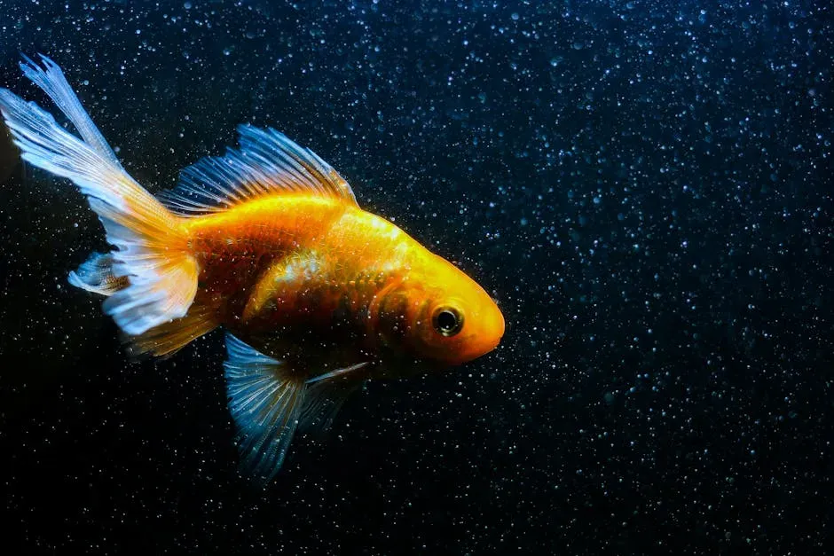 Behavioral Evidence: How Fish Actually Behave When Hurt (Image Credits: Pexels)