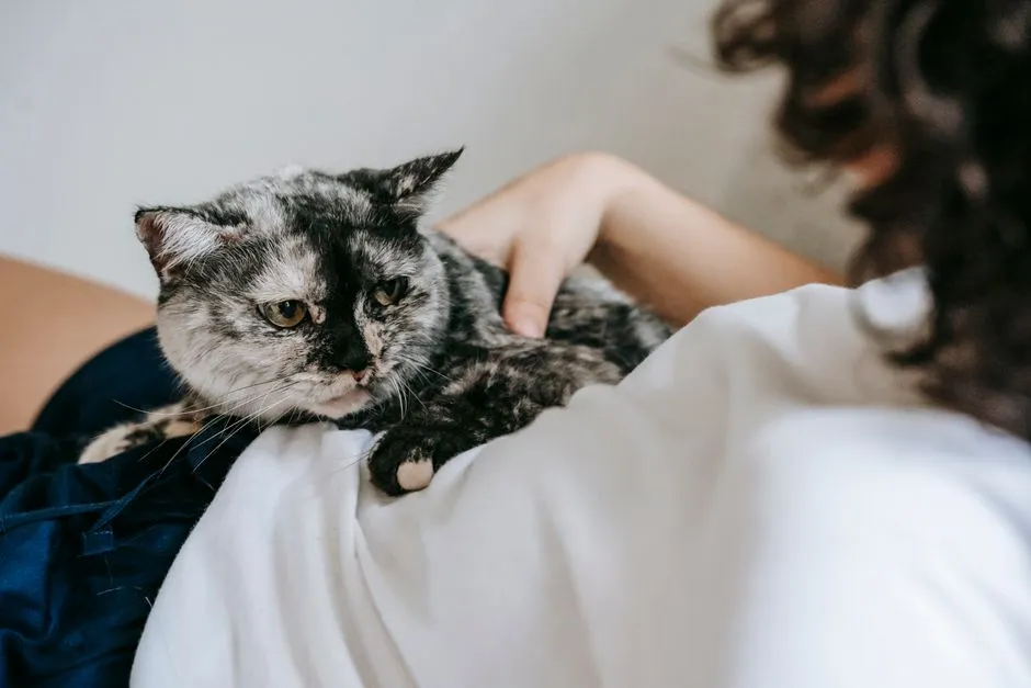 #6 - They Get Personally Offended When Your Hands Do Anything Else (Image Credits: Pexels)
