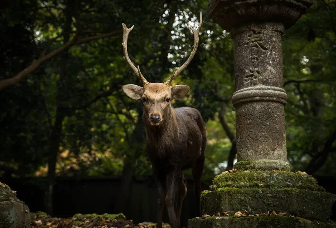 What This Means for Conservation and Discovery (Image Credits: Unsplash)