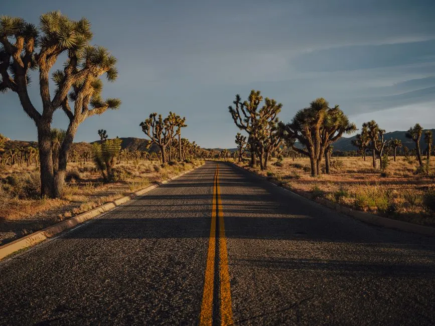 #2 - California's Highway 62 Into Joshua Tree (Image Credits: Pexels)